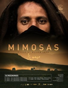 Мимозы (2016)