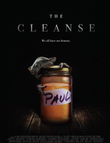 Мастер очистки постер фильма