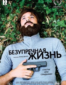 Безупречная жизнь постер фильма