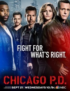 Полиция Чикаго постер фильма