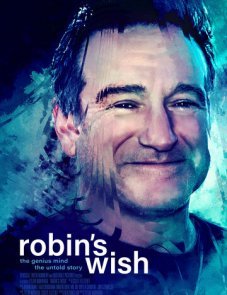 Воля Робина постер фильма